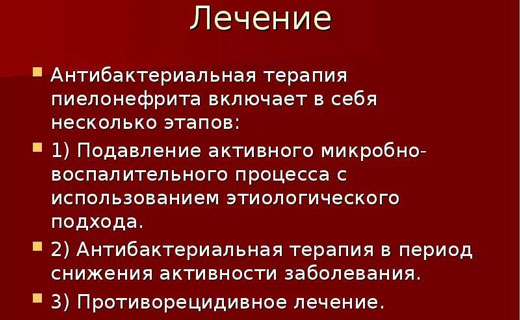 почки