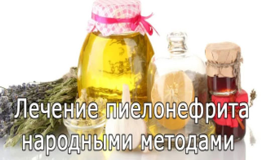 почки