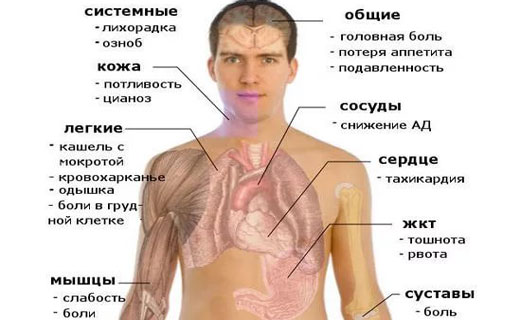 пневмания