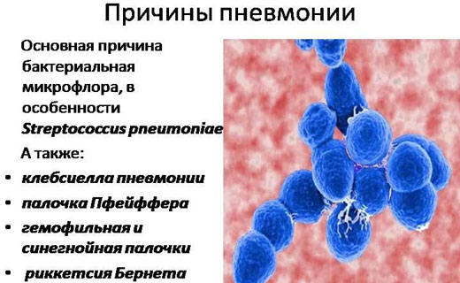 пневмания