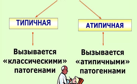 пневмания
