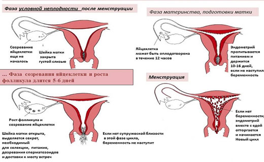 пенсия