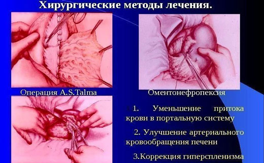 печень