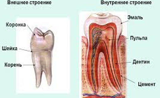 пенсия
