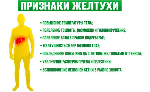 желтуха