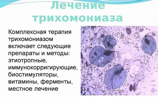 Схема лечения трихомониаза трихополом Схема лечения трихомониаза трихополом