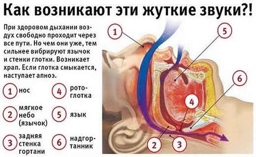 защита организма