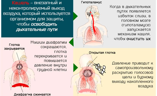 кашель