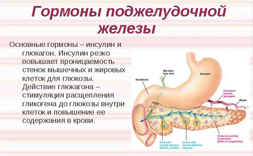 желтуха
