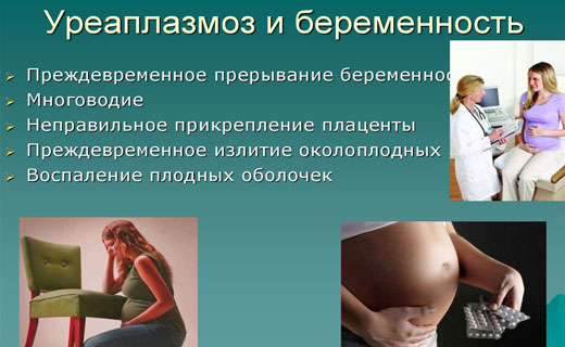 уераплазмоз