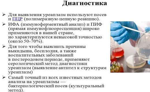 уреаплазмоз