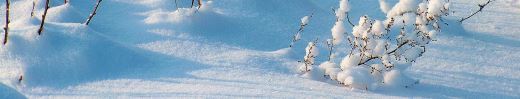 Лунный календарь на январь 2017 года