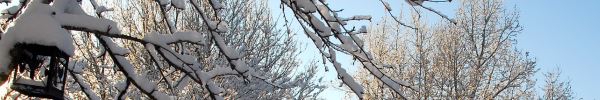 Лунный календарь на февраль 2017 года