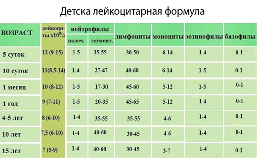 лейкоциты у детей
