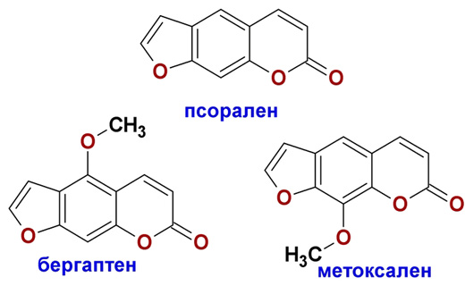псоберен
