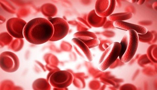 Гемолитическая анемия крови