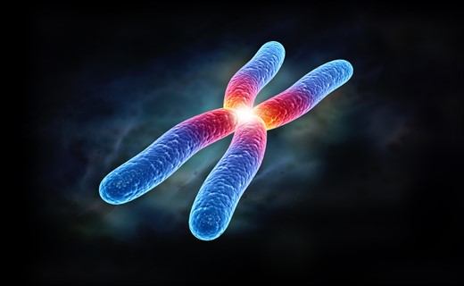 Хромосомные аномалии развития