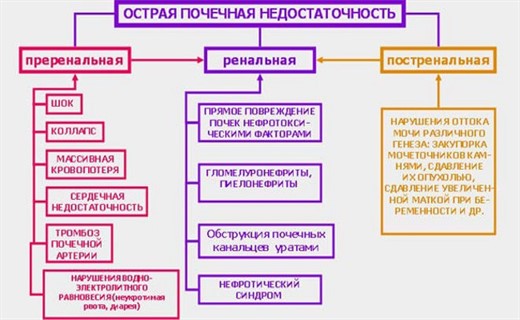 Синдром острой почечной недостаточности	