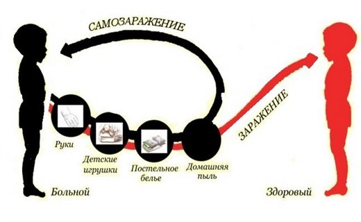 Виды паразитов