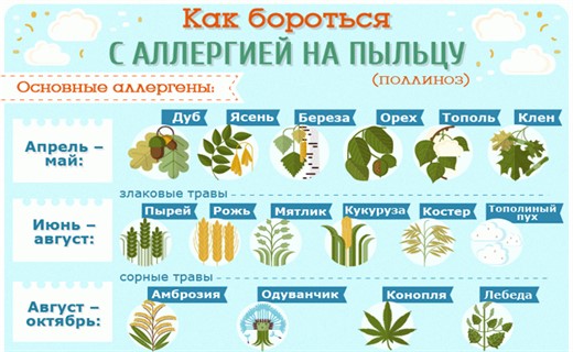 Как облегчить поллиноз