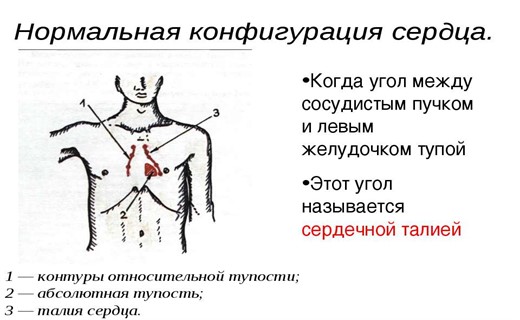 Заболевание органов сердечно сосудистой системы