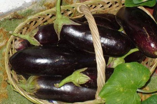 Польза баклажанов для здоровья