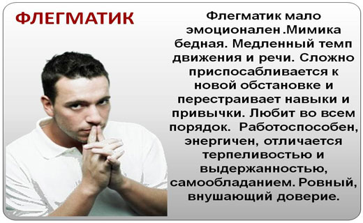 флегматик