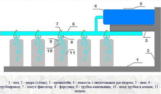 Оросительная система чтобы вырастить клубнику