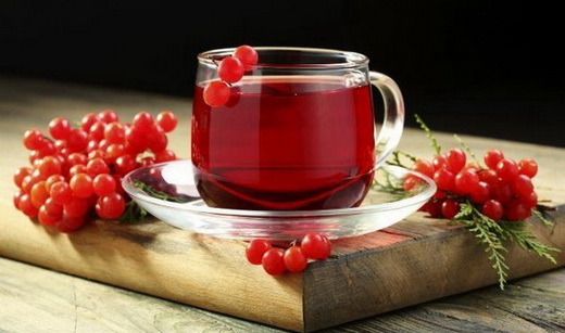 Свойства чая из калины