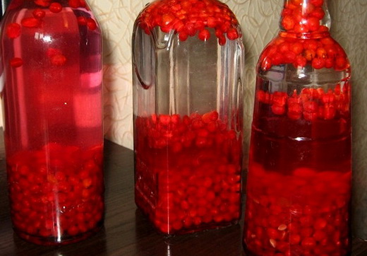 Свойства настоя калины красной