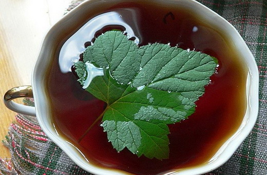 Польза чая на листьях малины