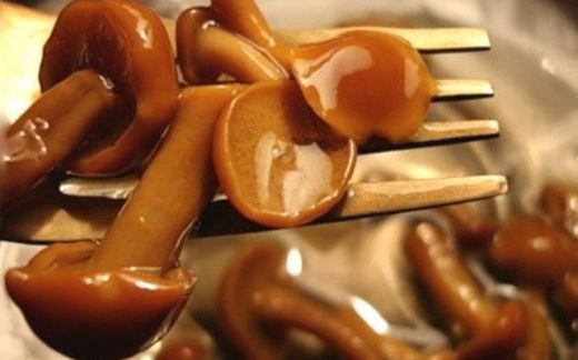 Маслята маринованные на зиму рецепт