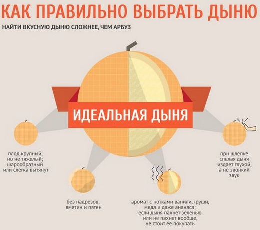 Выбор вкусной дыни