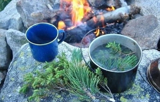 Свойства можжевелового чая