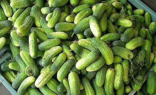 Польза огурцов