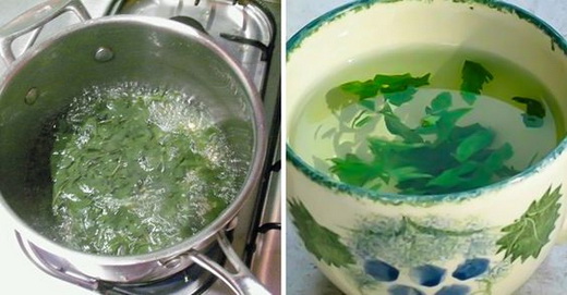 Отвар зелени петрушки