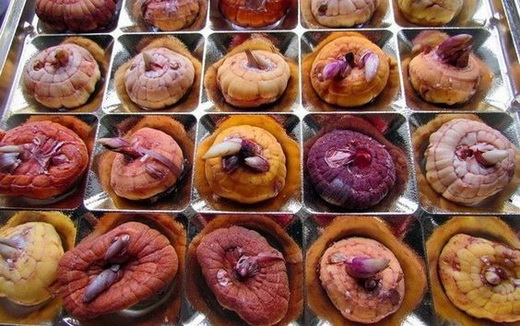 Различные луковицы гладиолуса