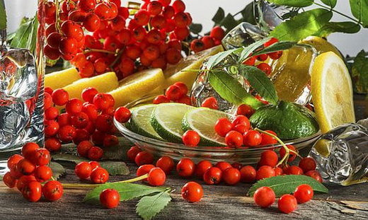 Свойства рябины красной