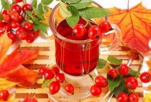 Свойства сока шиповника