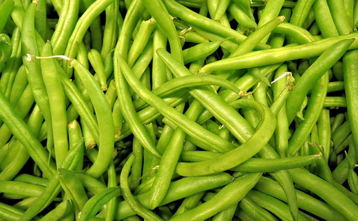 Польза стручковой фасоли