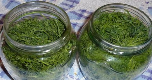 Настой на зелени укропа