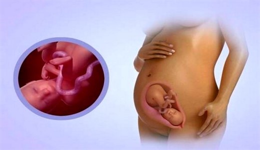 Ребенок на 26 неделе беременности