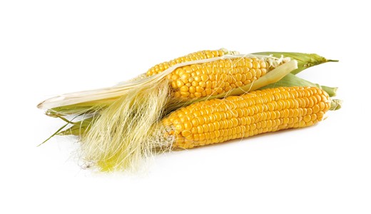 Кукуруза при беременности