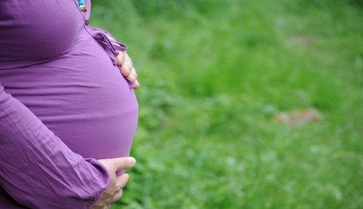 Матка при беременности на ранних сроках