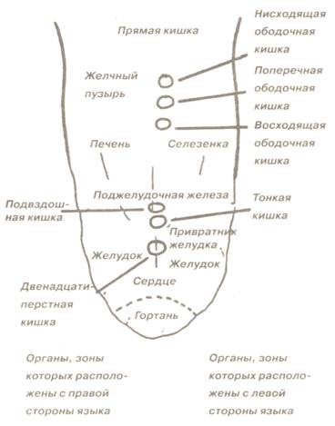 Болезни по языку схема налету