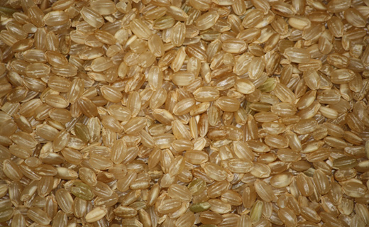короткозернистый бурый рис