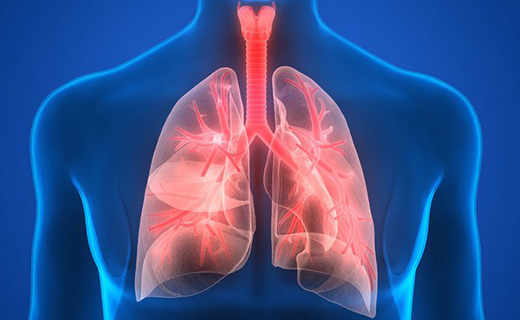 болезни дыхательных путей