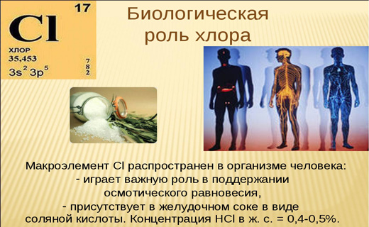 Влияние хлора на организм человека проект