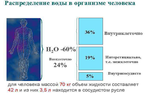 Объем человеческого тела м3