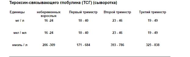 Тироксин на сушке дозировка схема